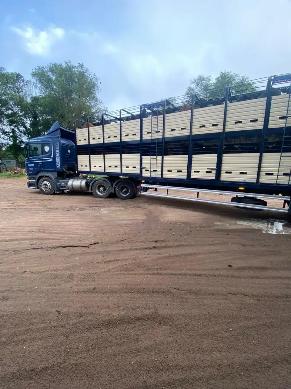 camion