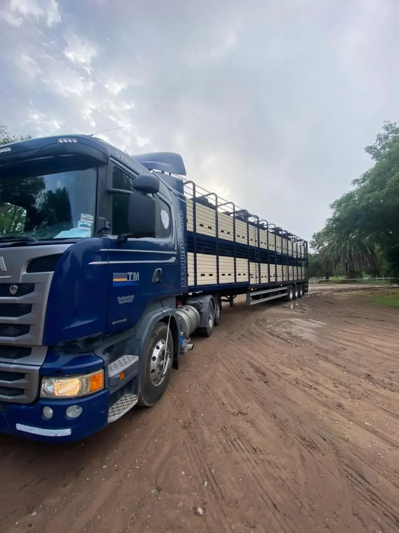 camion
