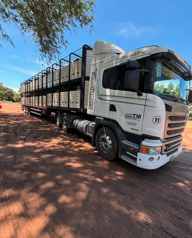 camion