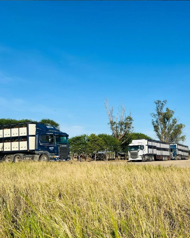 camion