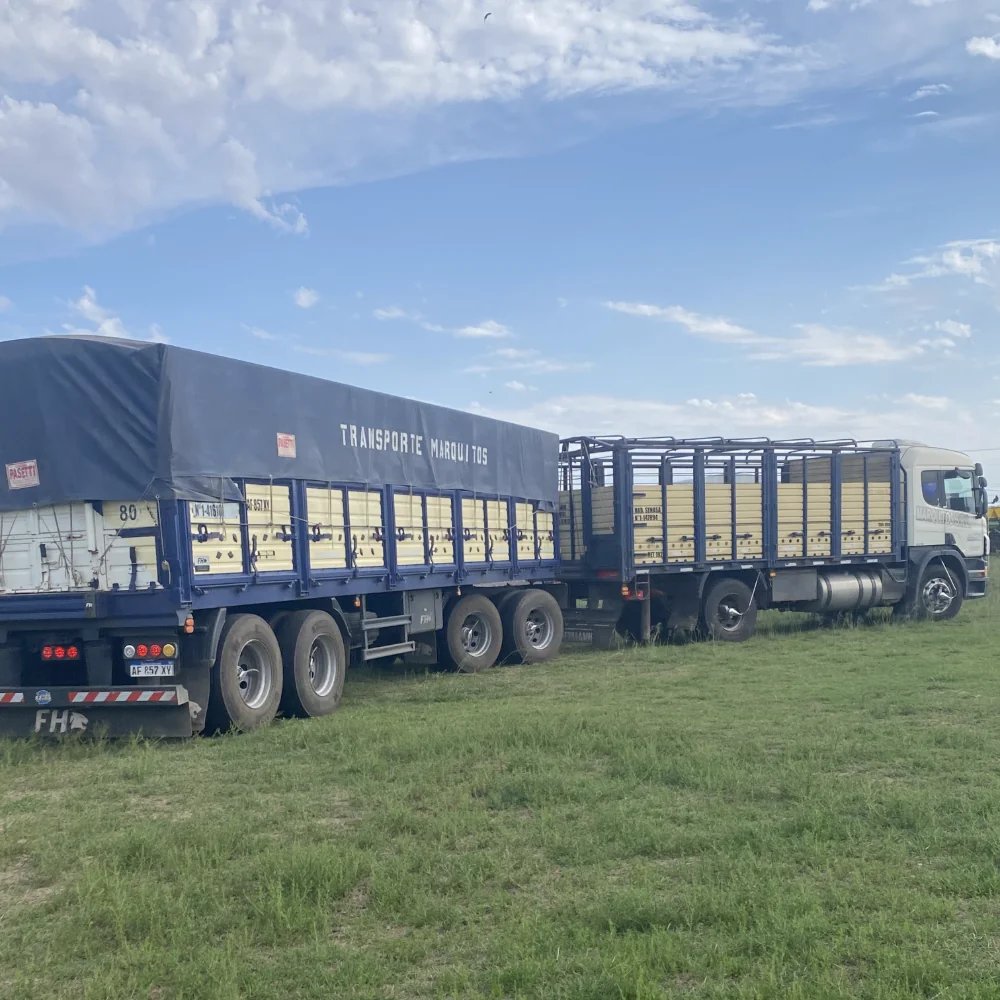 Chasis acoplado paletero FH